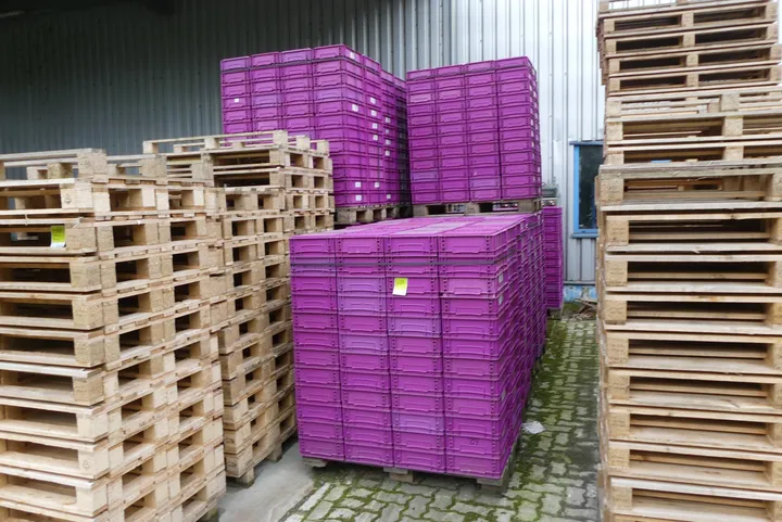 Konvolut Kunststoffkisten Umfang: 16x Paletten mit Inhalt (je ca. 96 Kisten)